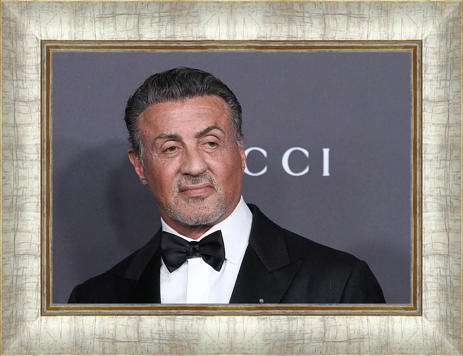 Картина в раме - Сильвестр Сталлоне. Sylvester Stallone