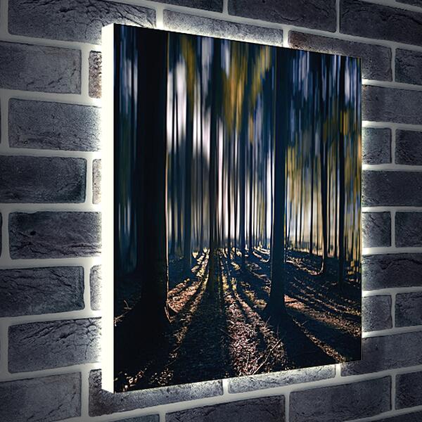 Лайтбокс световая панель - Синий лес
