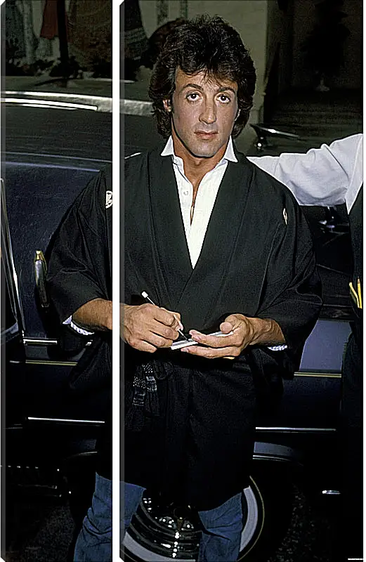Модульная картина - Сильвестр Сталлоне. Sylvester Stallone