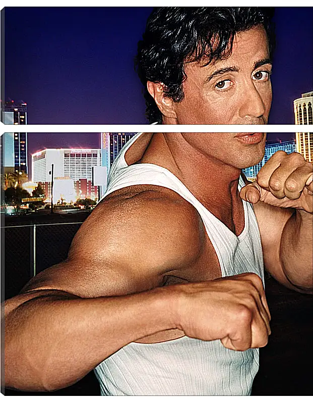 Модульная картина - Сильвестр Сталлоне. Sylvester Stallone