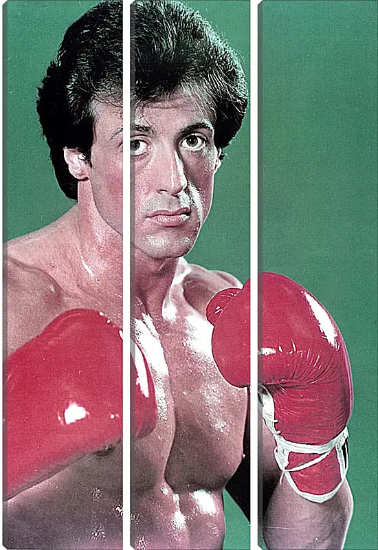 Модульная картина - Сильвестр Сталлоне. Sylvester Stallone