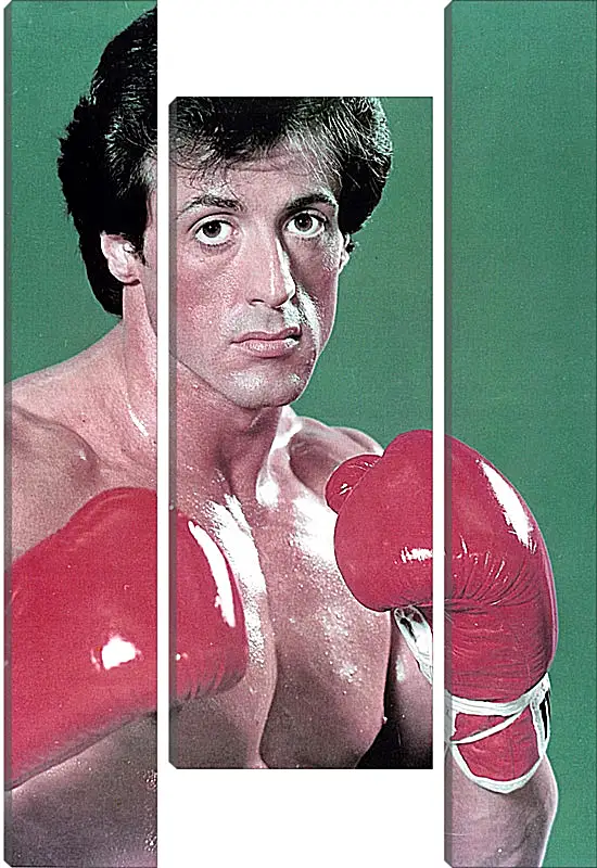 Модульная картина - Сильвестр Сталлоне. Sylvester Stallone