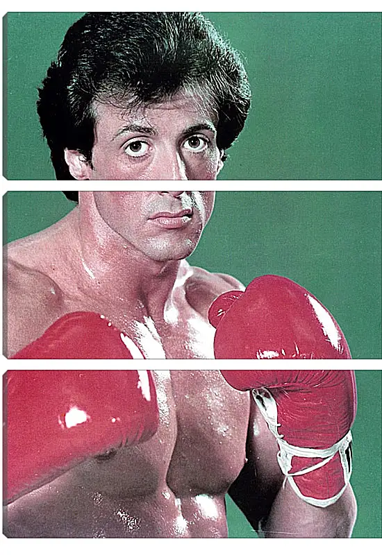 Модульная картина - Сильвестр Сталлоне. Sylvester Stallone