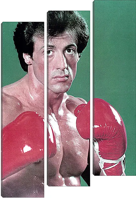 Модульная картина - Сильвестр Сталлоне. Sylvester Stallone