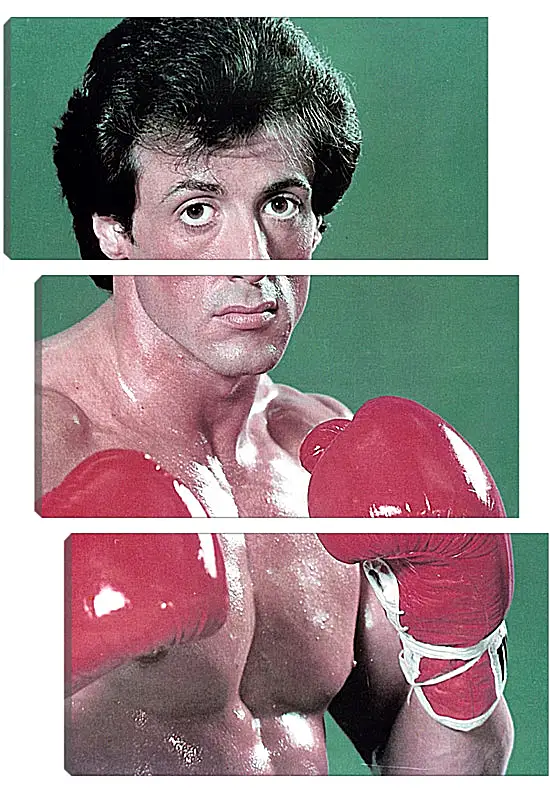 Модульная картина - Сильвестр Сталлоне. Sylvester Stallone