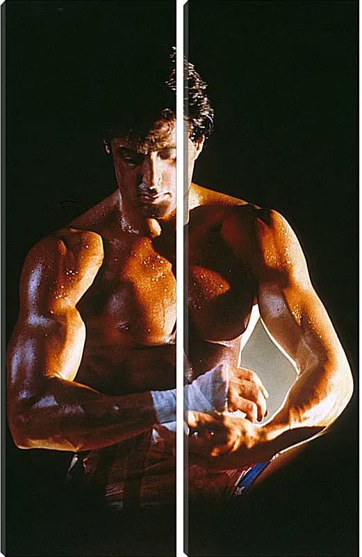 Модульная картина - Сильвестр Сталлоне. Sylvester Stallone
