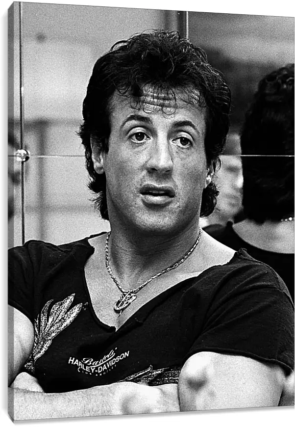 Постер и плакат - Сильвестр Сталлоне. Sylvester Stallone