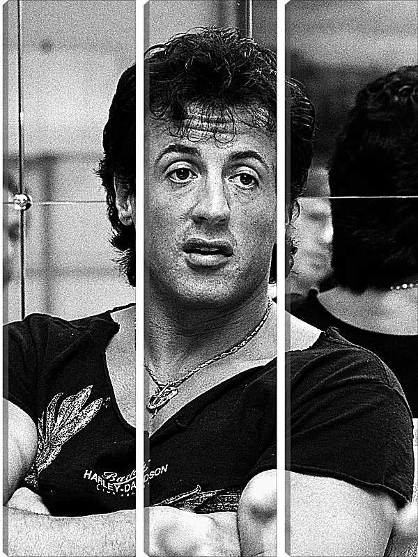 Модульная картина - Сильвестр Сталлоне. Sylvester Stallone