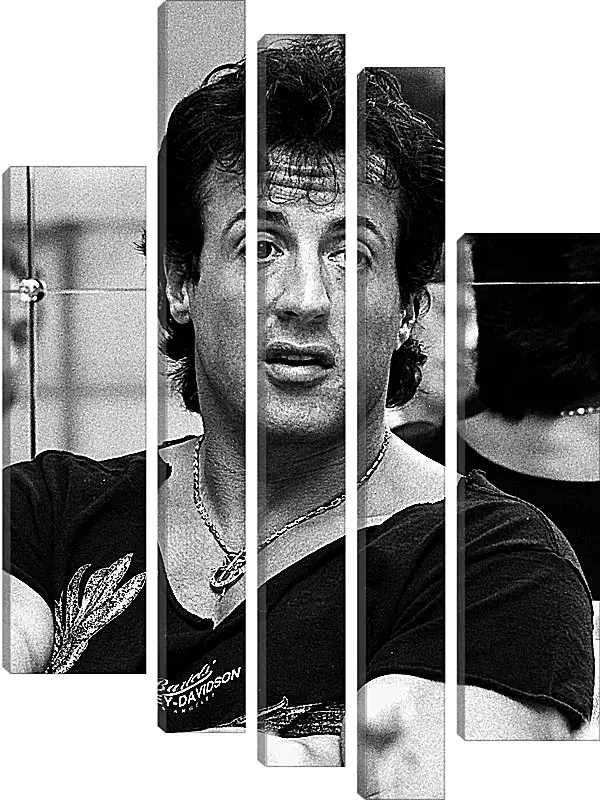 Модульная картина - Сильвестр Сталлоне. Sylvester Stallone