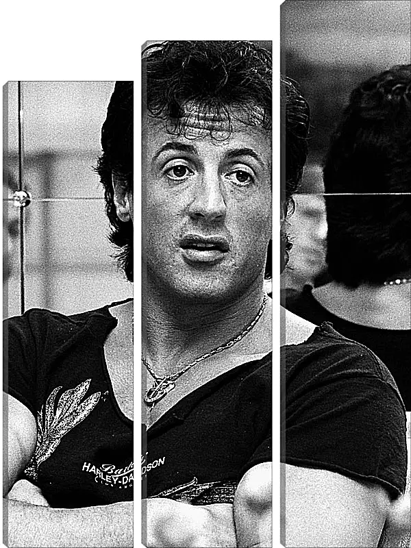 Модульная картина - Сильвестр Сталлоне. Sylvester Stallone