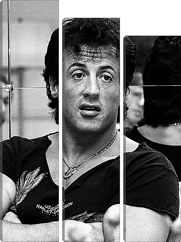 Модульная картина - Сильвестр Сталлоне. Sylvester Stallone