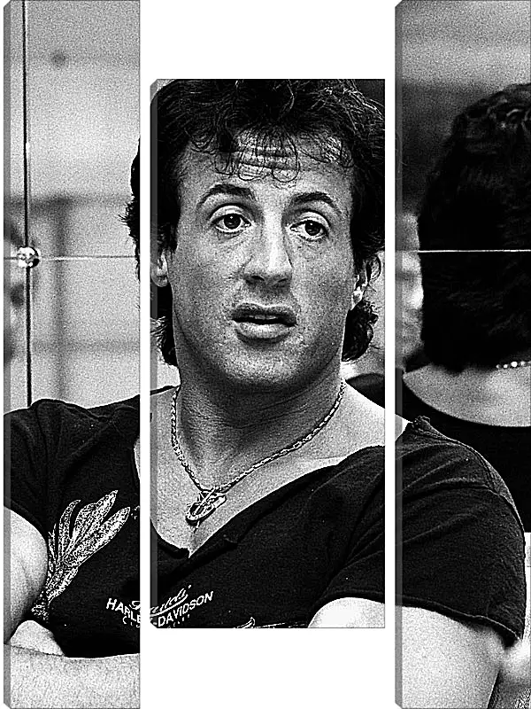 Модульная картина - Сильвестр Сталлоне. Sylvester Stallone