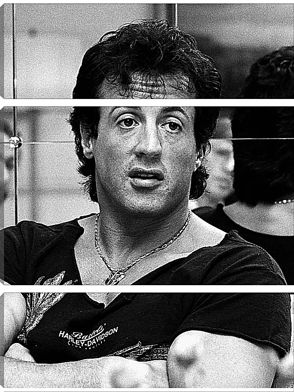 Модульная картина - Сильвестр Сталлоне. Sylvester Stallone