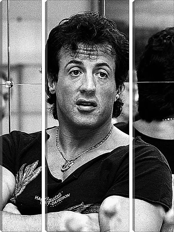 Модульная картина - Сильвестр Сталлоне. Sylvester Stallone