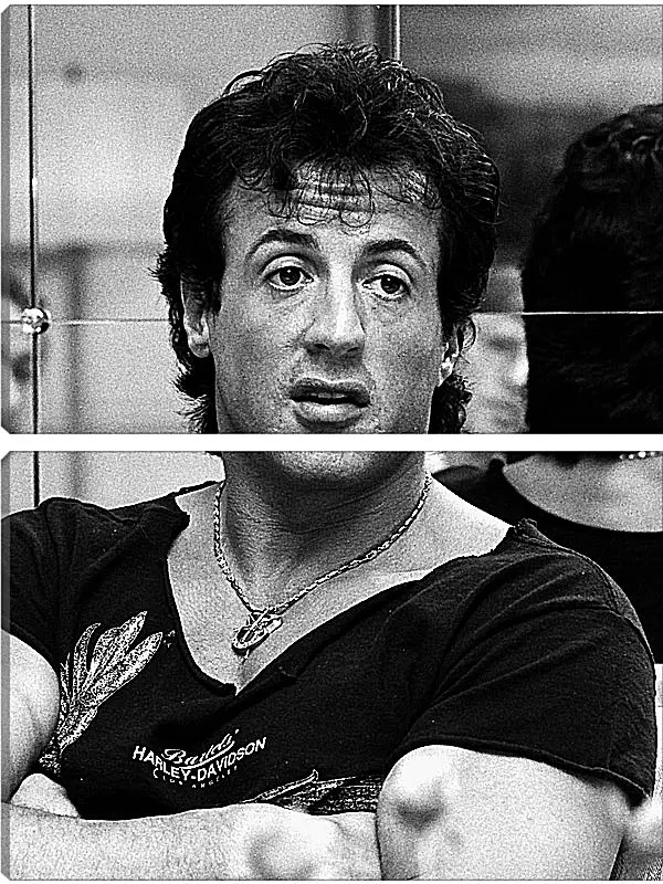 Модульная картина - Сильвестр Сталлоне. Sylvester Stallone