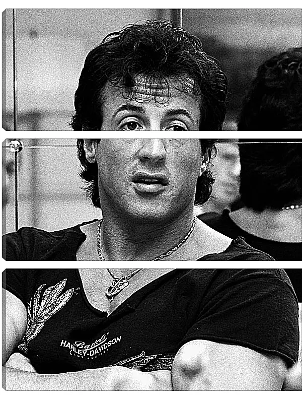 Модульная картина - Сильвестр Сталлоне. Sylvester Stallone