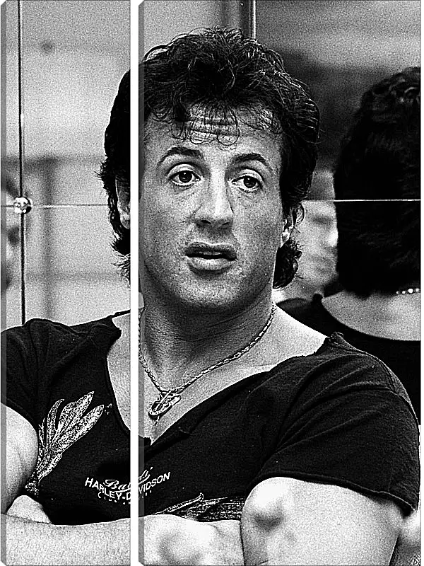 Модульная картина - Сильвестр Сталлоне. Sylvester Stallone