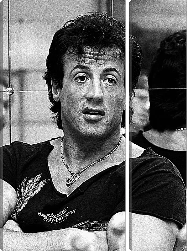 Модульная картина - Сильвестр Сталлоне. Sylvester Stallone