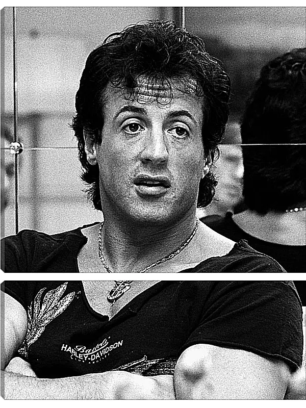 Модульная картина - Сильвестр Сталлоне. Sylvester Stallone