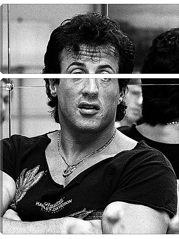 Модульная картина - Сильвестр Сталлоне. Sylvester Stallone