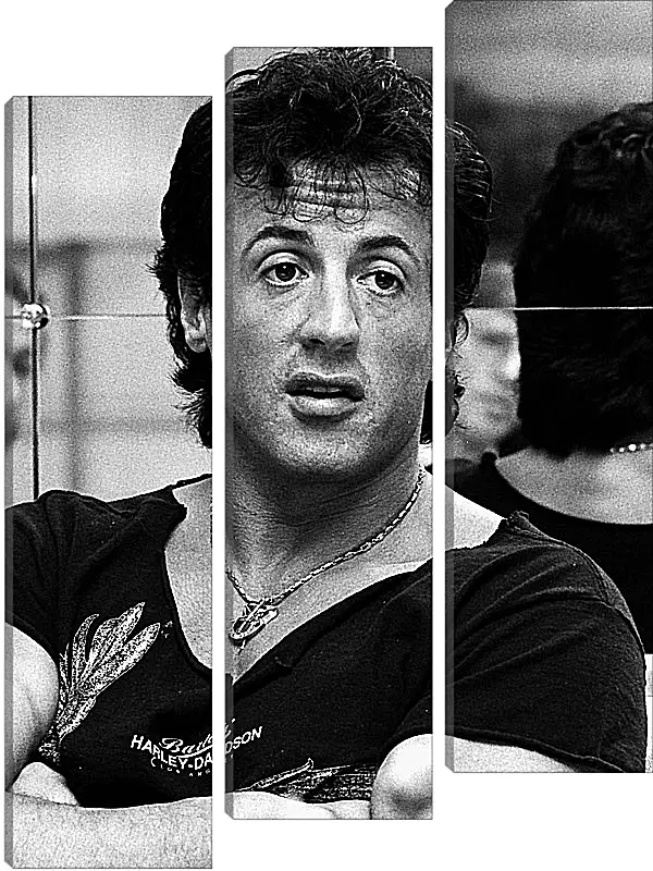 Модульная картина - Сильвестр Сталлоне. Sylvester Stallone