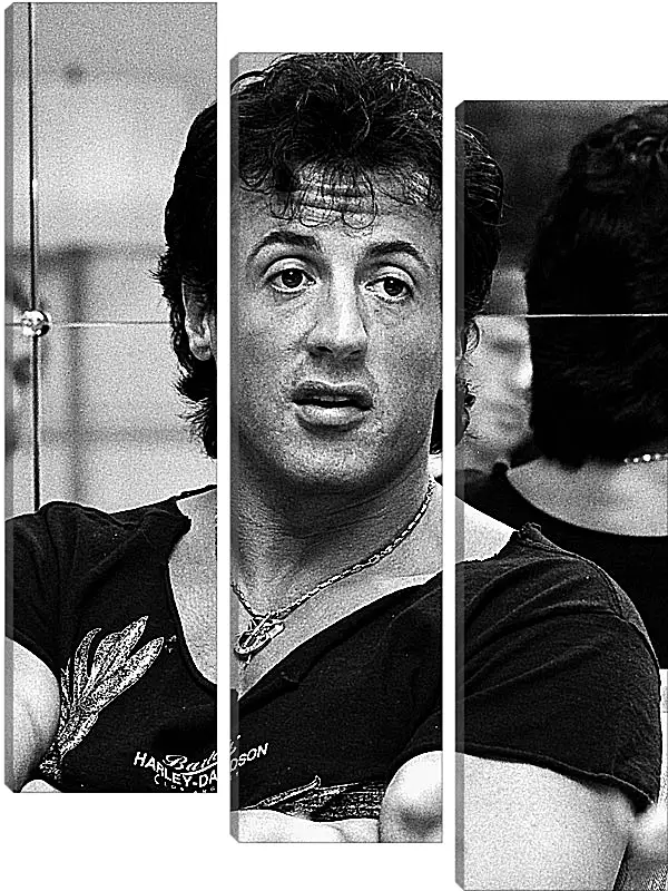 Модульная картина - Сильвестр Сталлоне. Sylvester Stallone