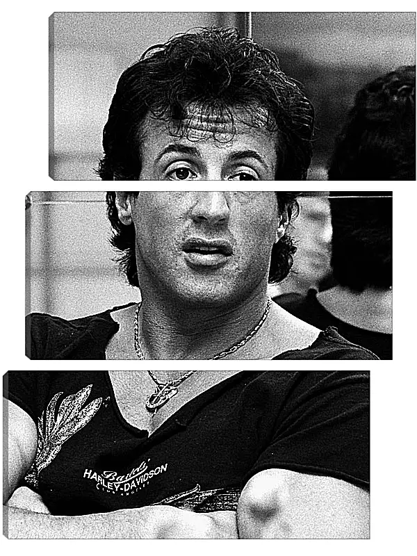 Модульная картина - Сильвестр Сталлоне. Sylvester Stallone