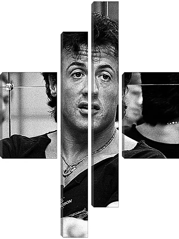 Модульная картина - Сильвестр Сталлоне. Sylvester Stallone