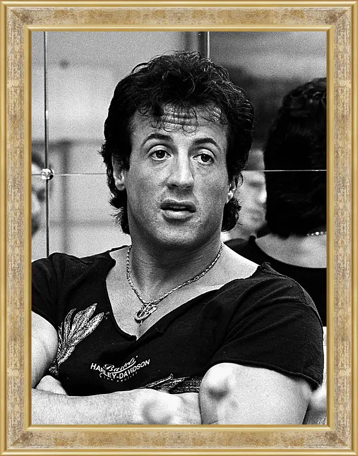 Картина в раме - Сильвестр Сталлоне. Sylvester Stallone