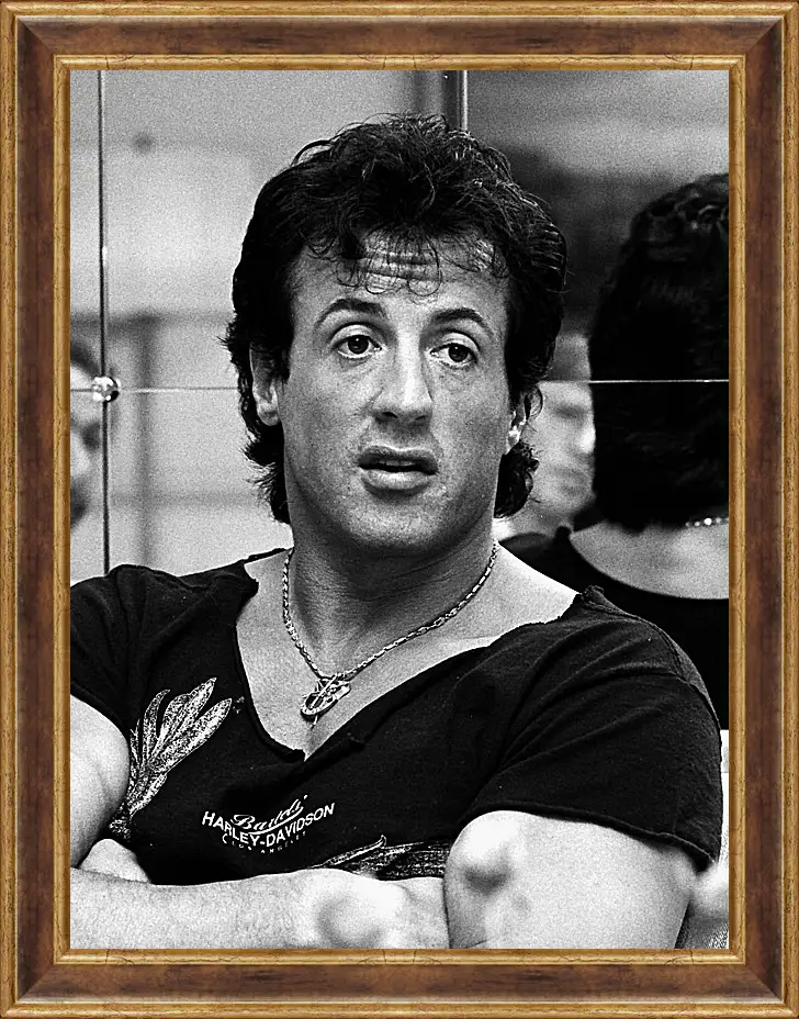 Картина в раме - Сильвестр Сталлоне. Sylvester Stallone