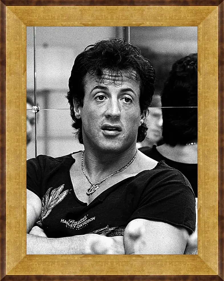 Картина в раме - Сильвестр Сталлоне. Sylvester Stallone