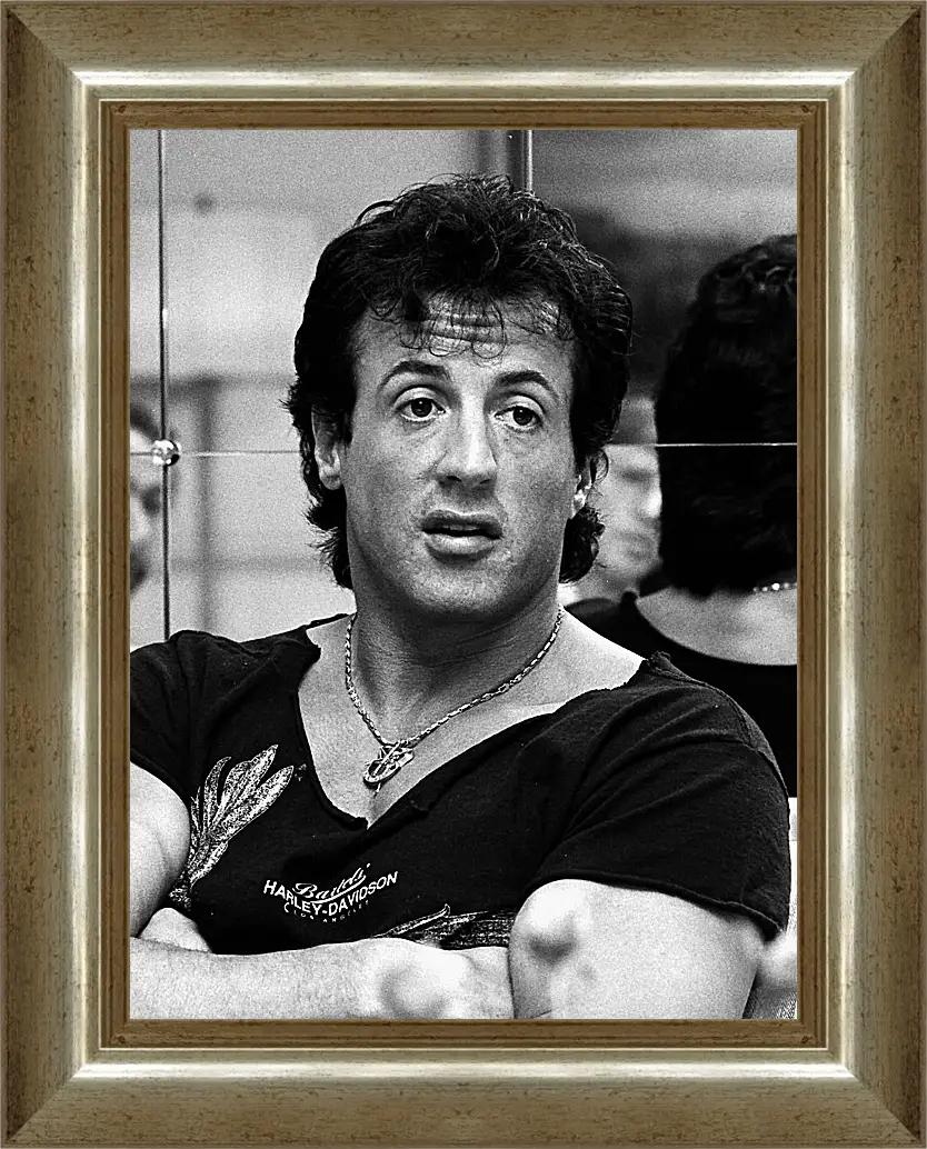 Картина в раме - Сильвестр Сталлоне. Sylvester Stallone