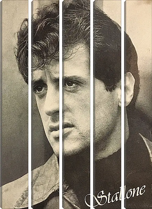 Модульная картина - Сильвестр Сталлоне. Sylvester Stallone