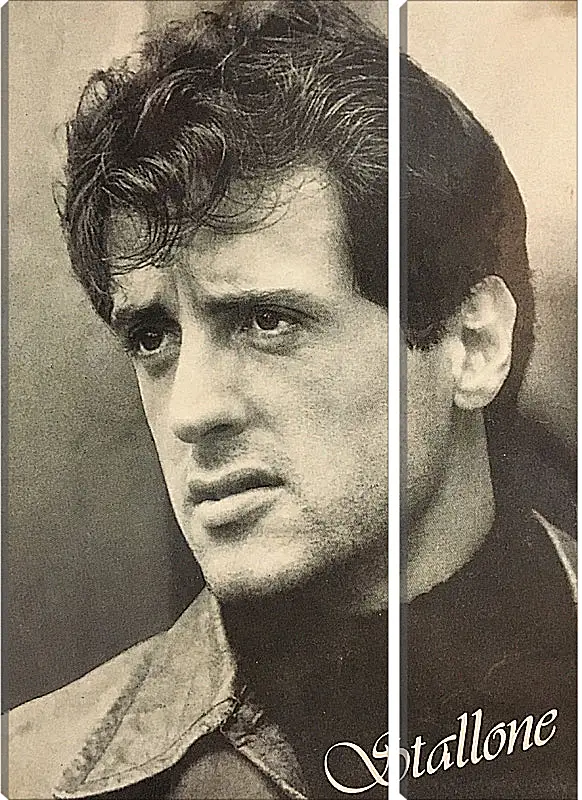 Модульная картина - Сильвестр Сталлоне. Sylvester Stallone