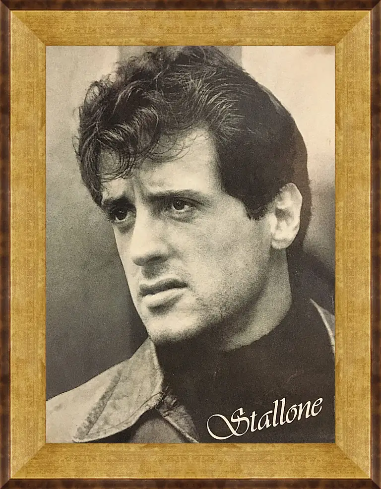 Картина в раме - Сильвестр Сталлоне. Sylvester Stallone