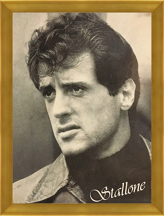 Картина в раме - Сильвестр Сталлоне. Sylvester Stallone