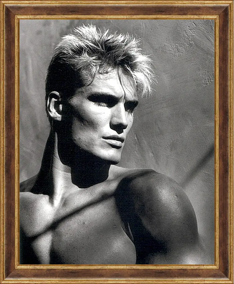 Картина в раме - Дольф Лундгрен. Dolph Lundgren