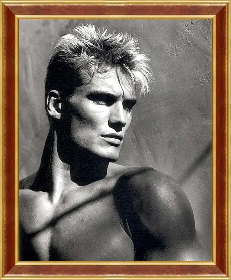 Картина в раме - Дольф Лундгрен. Dolph Lundgren