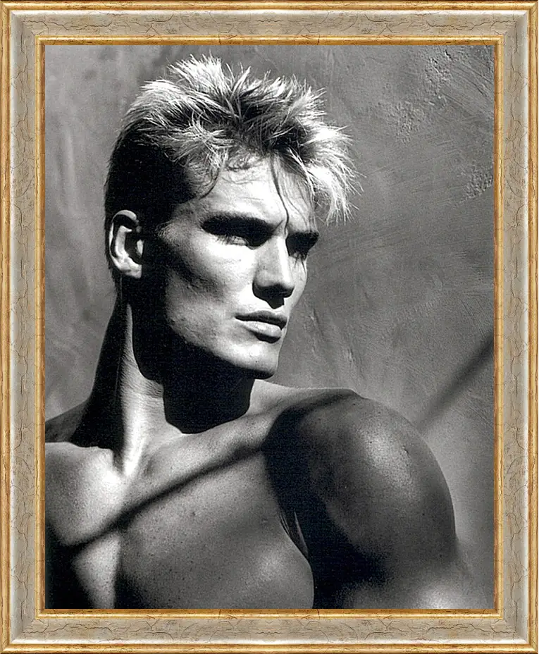 Картина в раме - Дольф Лундгрен. Dolph Lundgren