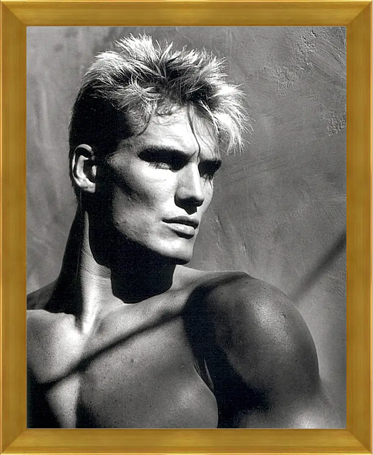 Картина в раме - Дольф Лундгрен. Dolph Lundgren