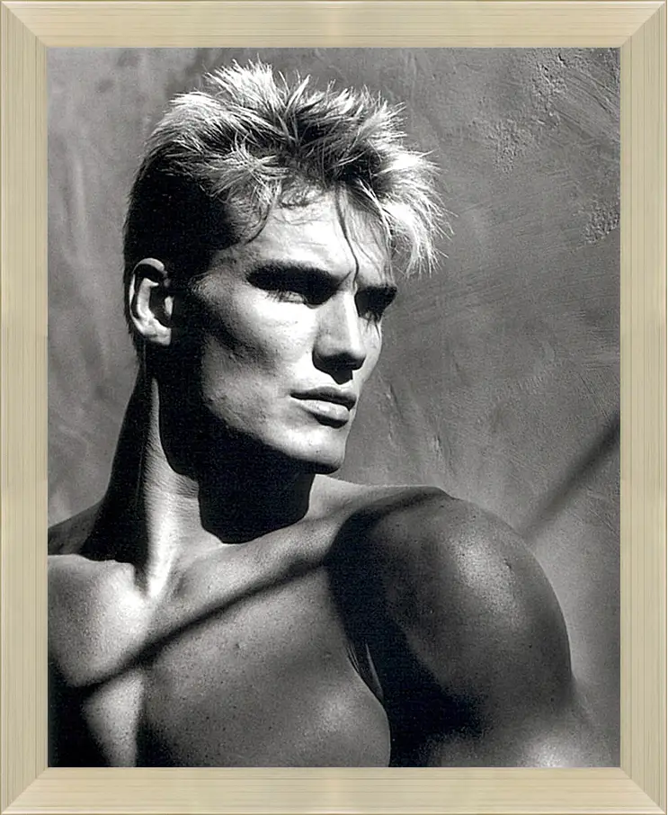 Картина в раме - Дольф Лундгрен. Dolph Lundgren