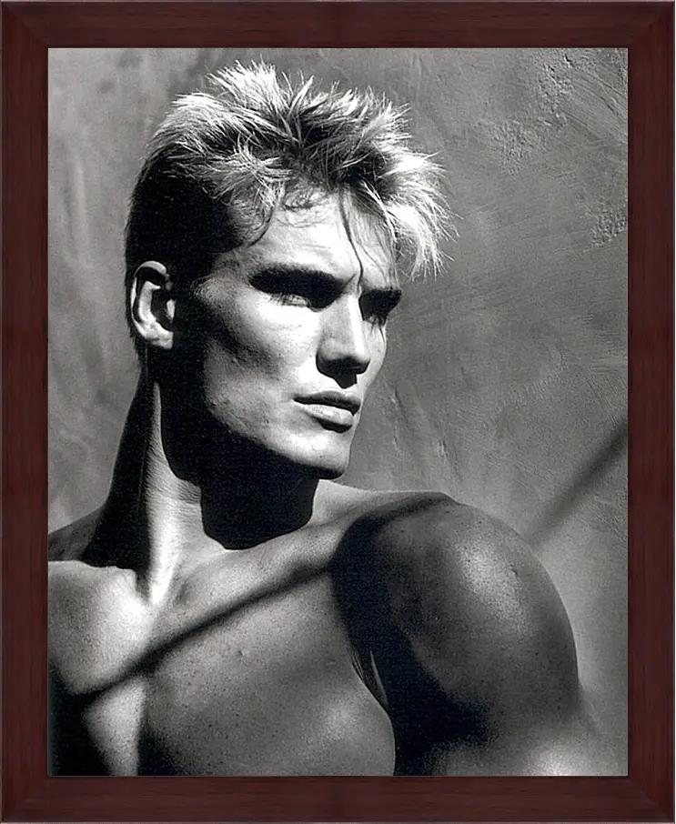 Картина в раме - Дольф Лундгрен. Dolph Lundgren