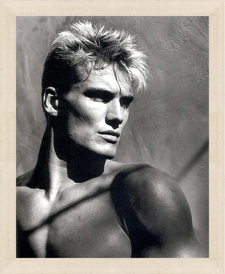 Картина в раме - Дольф Лундгрен. Dolph Lundgren