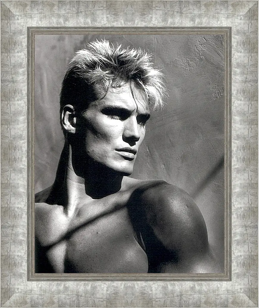 Картина в раме - Дольф Лундгрен. Dolph Lundgren