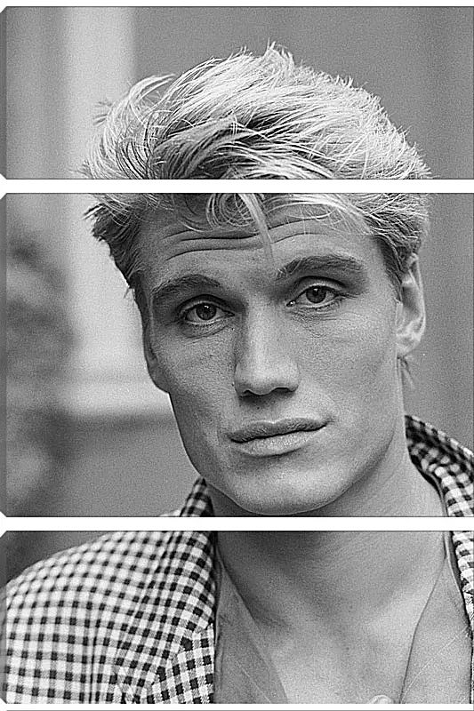 Модульная картина - Дольф Лундгрен. Dolph Lundgren