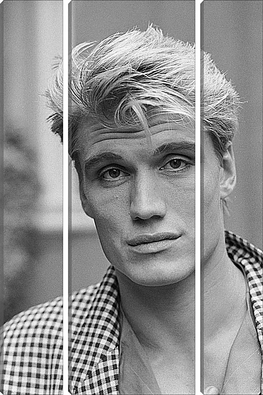 Модульная картина - Дольф Лундгрен. Dolph Lundgren