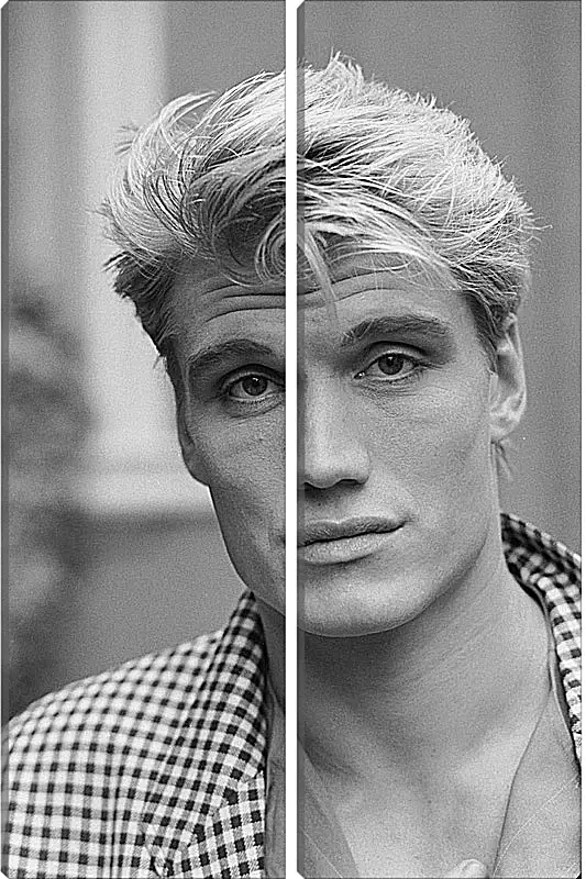 Модульная картина - Дольф Лундгрен. Dolph Lundgren