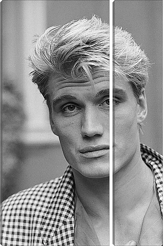 Модульная картина - Дольф Лундгрен. Dolph Lundgren