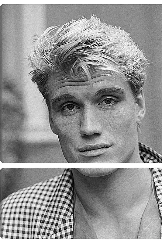 Модульная картина - Дольф Лундгрен. Dolph Lundgren