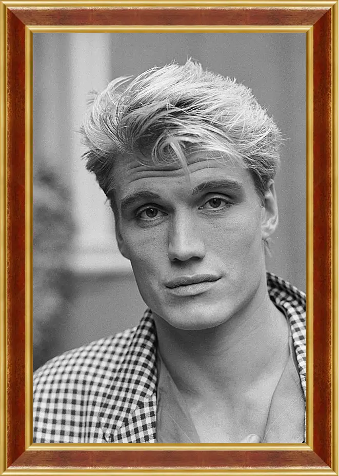 Картина в раме - Дольф Лундгрен. Dolph Lundgren